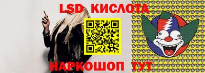 спиды Дубна