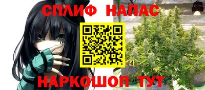 спиды Дубна