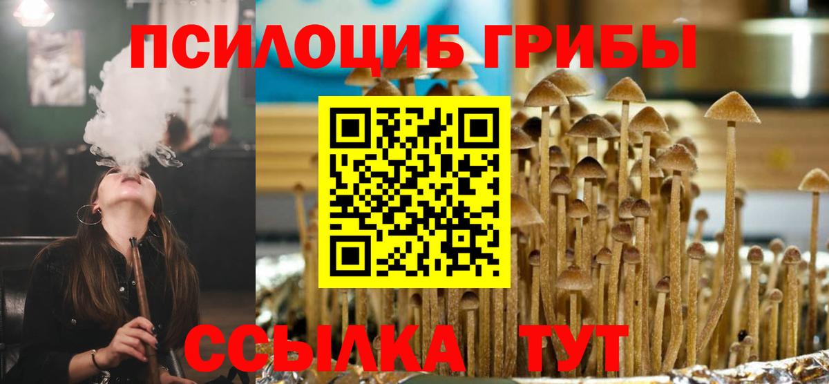 Псилоцибиновые грибы GOLDEN TEACHER Клинцы