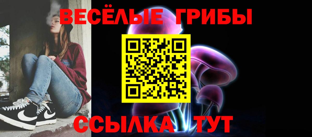 Клинцы  Галлюциногенные грибы мухоморы  Вход с VPN  Псилоцибиновые грибы мицелий 